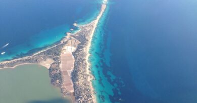 Ibiza Diary: News vom Donnerstag, 11. September 2025